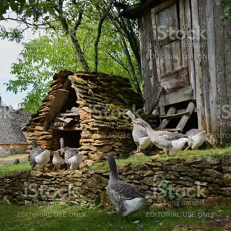 Fontaine De L'amour * Sarlat-la-Canéda