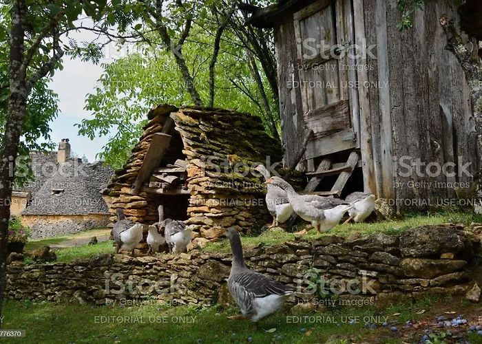 Fontaine De L'amour * Sarlat-la-Canéda